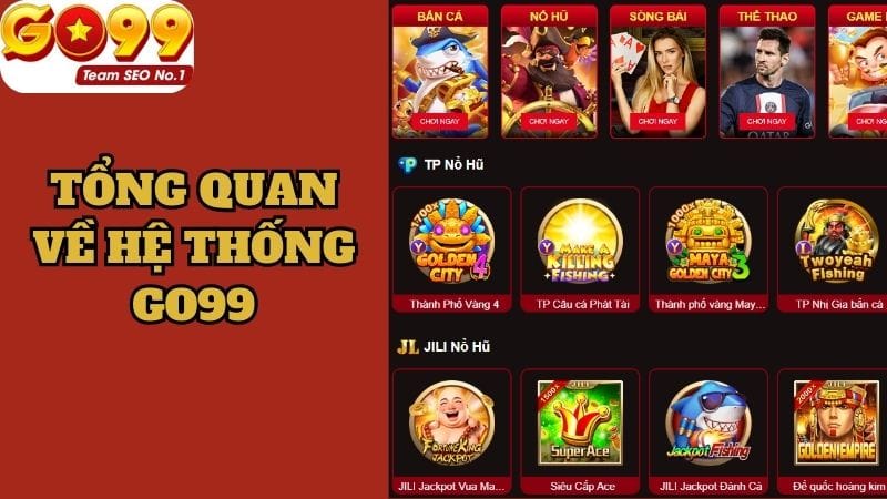 Tổng quan về hệ thống Go99