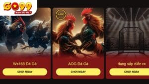 Đá Gà - Sảnh Game Go99 Được Yêu Thích Hàng Đầu